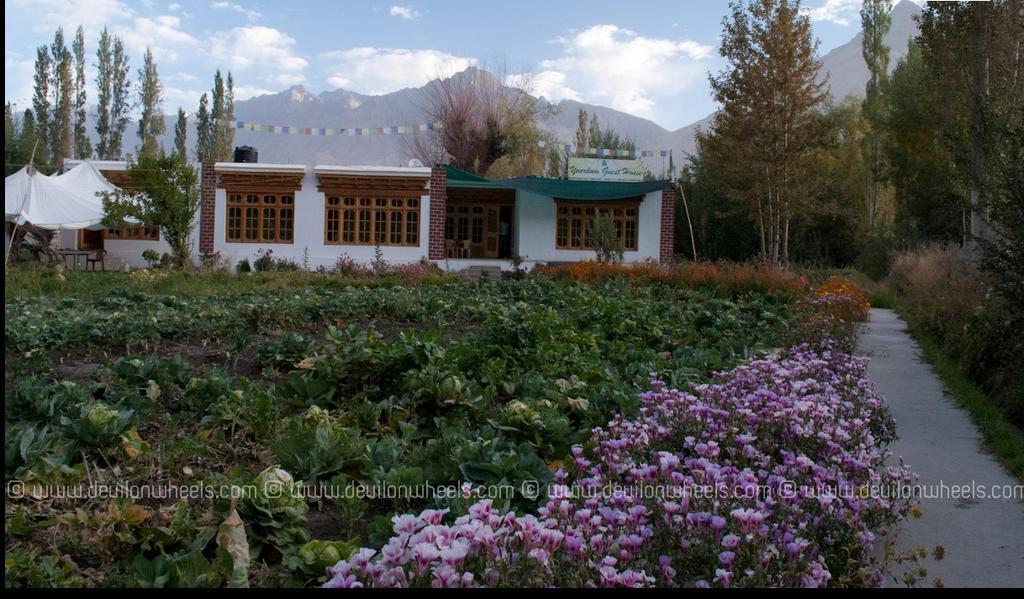 Yourdum Guest House Hundar Extérieur photo